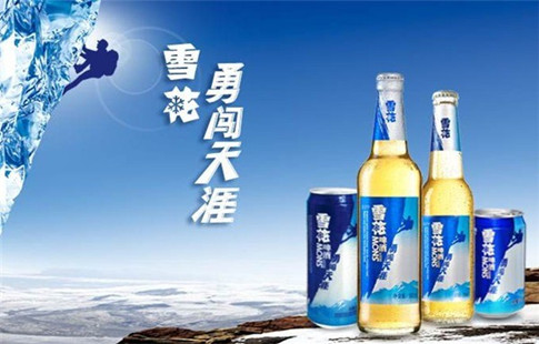 力網(wǎng)為雪花勇闖天涯提供品牌營銷服務(wù)